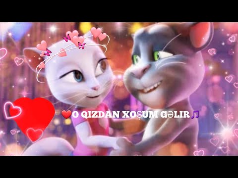 Danışan Tom və Dostları/🎵O Qızdan Xoşum Gəlir🎶 (Bizim Mahnı)