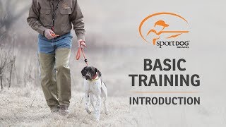 Basic Training :: Introduction to SportDOG® Brand by SportDOG Brand 20,427 views 4 years ago 1 minute, 15 seconds