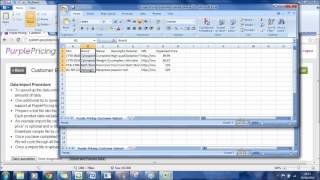 PurplePricing: Using the Bulk Import feature