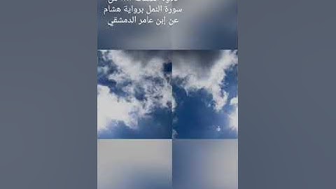 بحر فياض حسن..تلاوة الصفحة ٣٨١ من سورة النمل برواية هشام عن إبن عامر الدمشقي.
