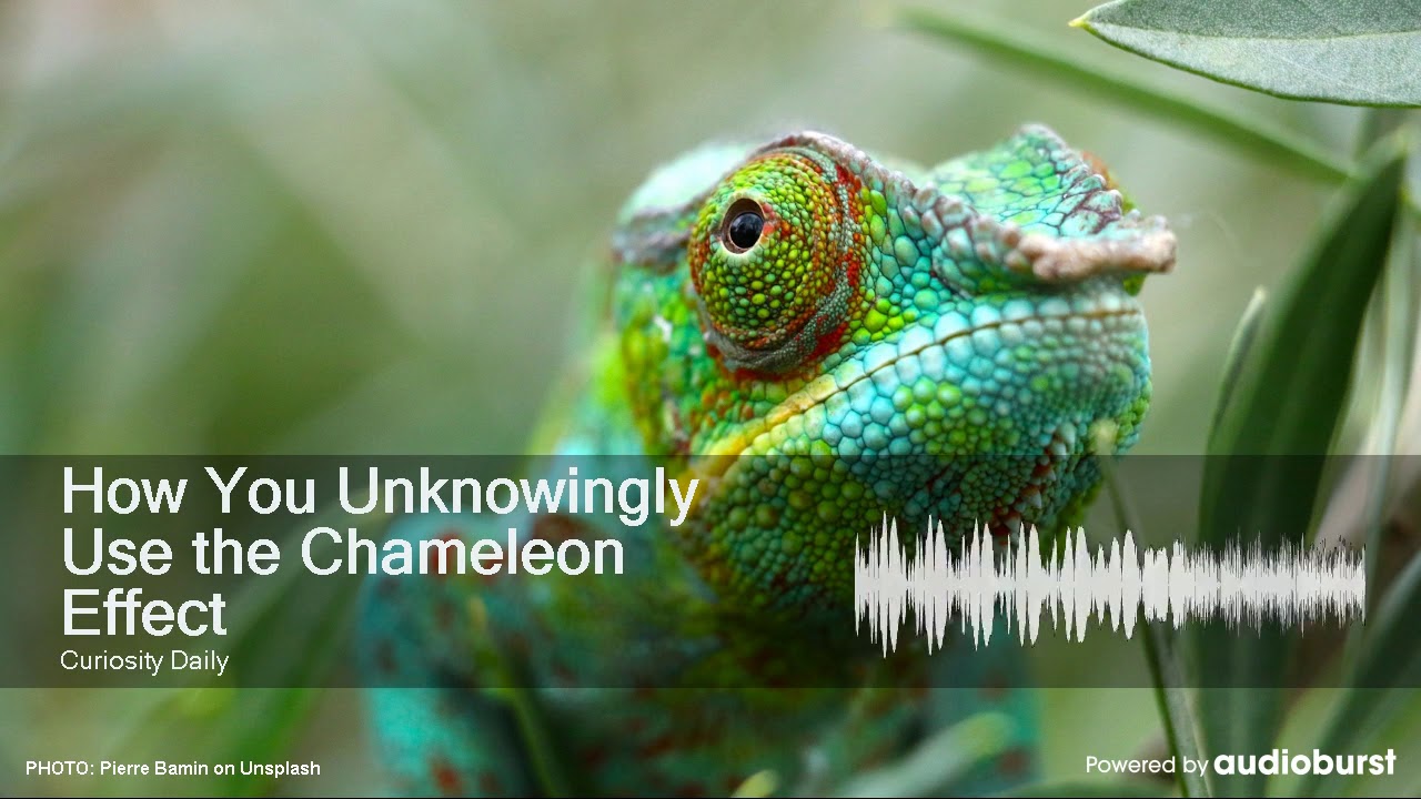 How You Unknowingly Use the Chameleon Effect YouTube