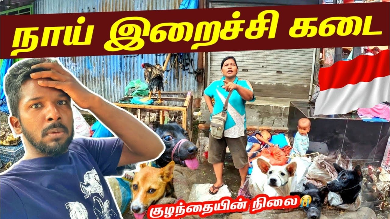 பெண்ணின் நாய் இறைச்சி கடை🐕 | Indonesia Dog Meat Market🇮🇩 Ep39 | Jaffna Suthan