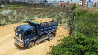 Ep05.Wonderful!! Landfill up Process Fill the soil Use Dozer D31P KOMATSU With Small Dump Truck 5T.