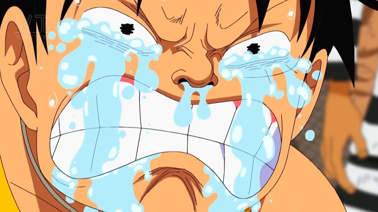 One Piece Anime Moments That BROKE US