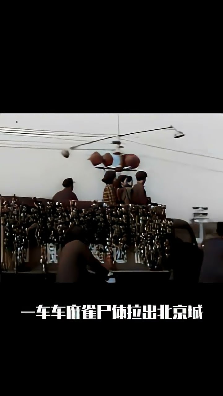 00:47 1958年發動的“麻雀大戰” #歷史- YouTube