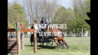 Bande Annonce Concours National d'Attelage 2017