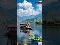 Beautiful lake view #shorts #nature