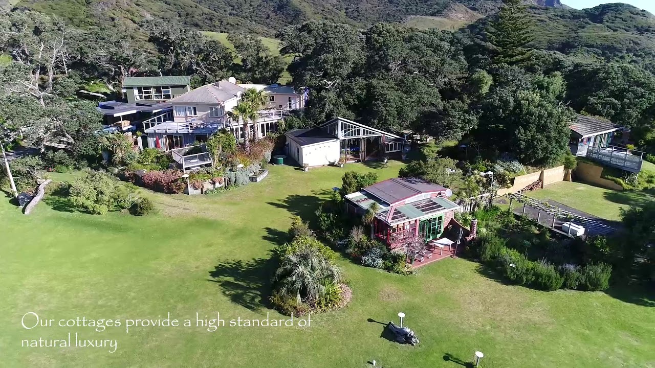 Bethells Beach Cottages