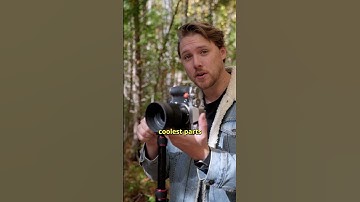 Neewer TP77 Tripod Review | Affordable Tripod for Content Creators