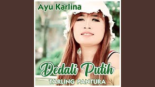 Dedali Putih