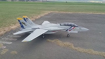 F14 Tomcat Freewing - taxi