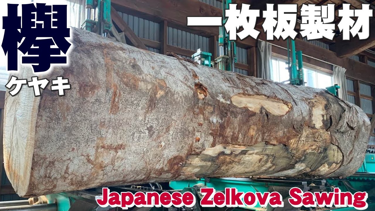 Iwate Zelkova] Zelkova logs are sawn into lumber [Sanmoku Wood