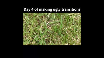 Day 4 of making ugly transitions #shorts #transition #plslikesubscribe