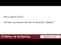 Почему духовные сёстры не выходят замуж?  Ответы на вопросы.  Бублик А. И.  МСЦ ЕХБ