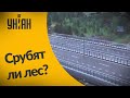 Срубят ли сотни гектаров ради Киевской объездной дороги?