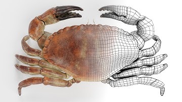 Tutorial | SHOWCASE Your 3D Models LIKE a PRO: How to Render Stunning WIREFRAMES in Blender