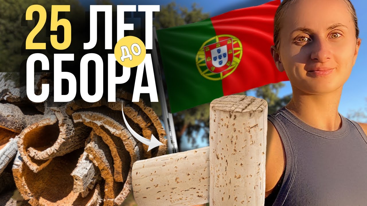 🌳ПРОБКОВЫЙ ДУБ. Живое Сокровище Португалии 🇵🇹