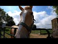 Amish - Kentucky - USA