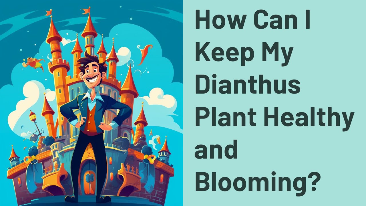 How Can I Keep My Dianthus Plant Healthy and Blooming? YouTube