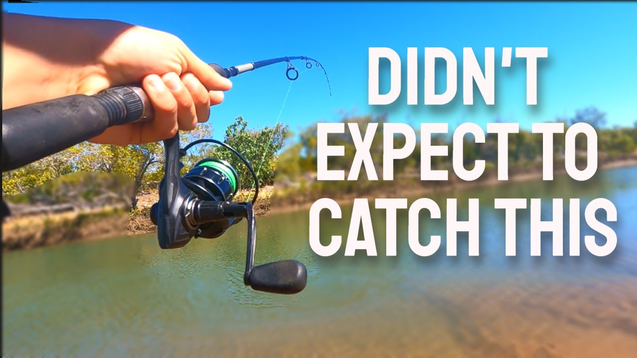 I DIDN'T expect to catch this - YouTube