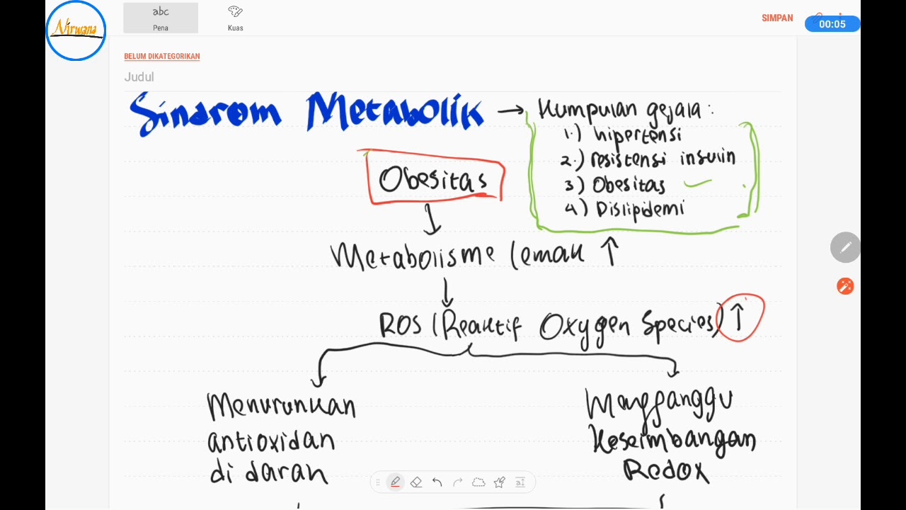 Patofisiologi Sindrom Metabolik