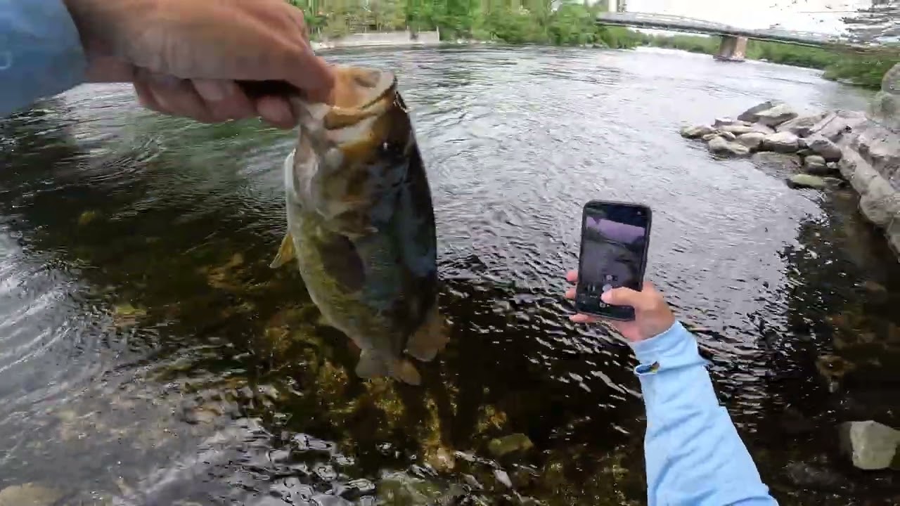 Just Enjoying Life One Cast at a Time | Bass Fishing in Ontario