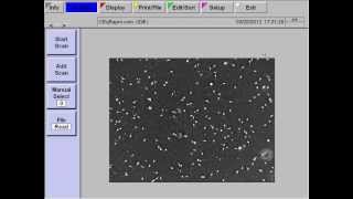 Equine Sperm Showing Poor Motility Evaluated by CASA (2); © Equine-Reproduction.com LLC