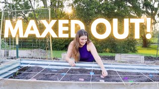 SQUARE FOOT GARDENING | How I grow up to 32 crops in 1 raised bed! Grow MORE in small spaces!