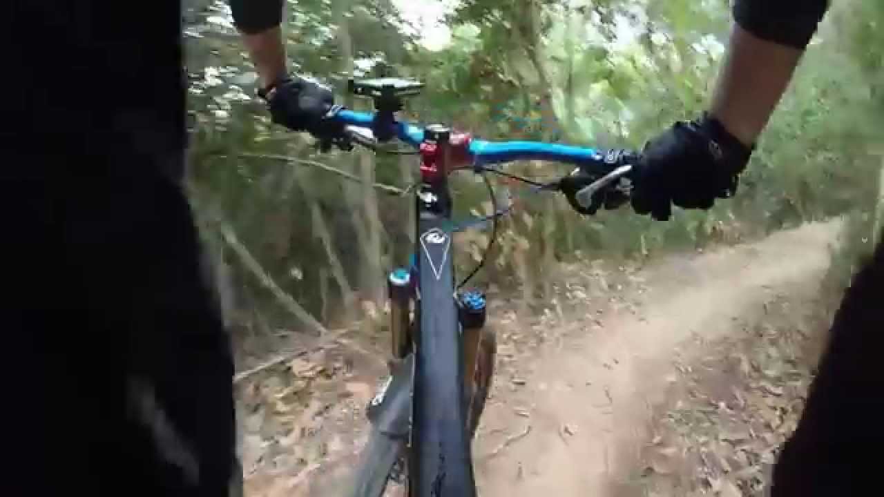 Red fox pov Red fox pov