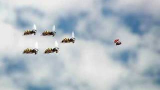 Patrouille de bzzz