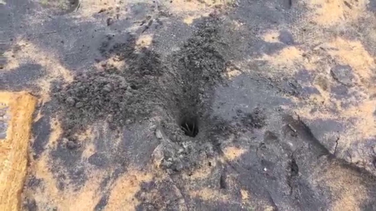 Grab the Crab! YouTube