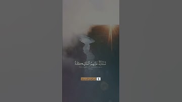 #تلاوات #القرآن_الكريم #quran #قرآن #تلاوة #القرآن #تلاوة_خاشعة #تلاوة #ايات_قرانيه_قصيره