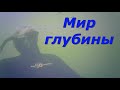 Проект глубина Мир фридайвинга