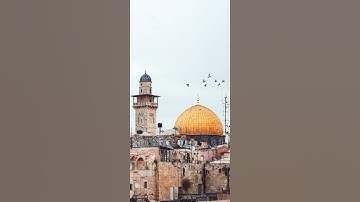 سورة التوبة {الآية 14} بصوت الشيخ ماهر المعيقلي ❤️💖