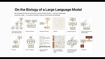 Anthropic: Circuit Tracing + On the Biology of a Large Language Model