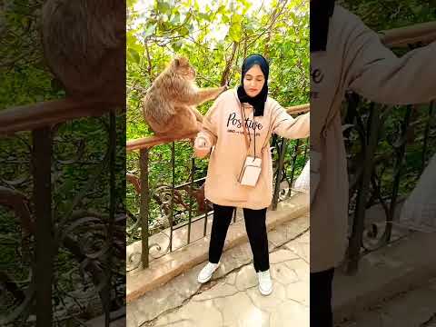 شلالات أوزود أزيلال بني ملال مراكش