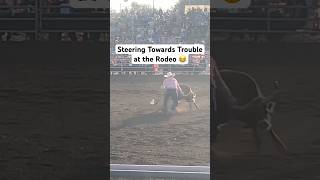 This steer refused the assignment. 🙂‍↔️👎