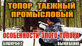 Максим Медведев