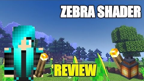 ✔Zebra shader(best shader)(1.16)