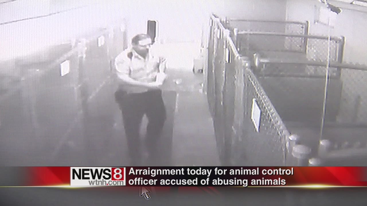Wolcott animal control officer in court YouTube