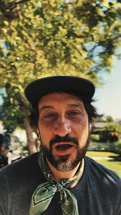 My song Mark Twain from the album Desert Dogs #shorts #youtubeshorts #latinmusic #marktwain #samba