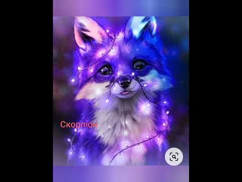 яка ти тварина по зз? - YouTube