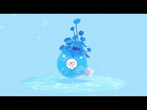 Music Video Preview
