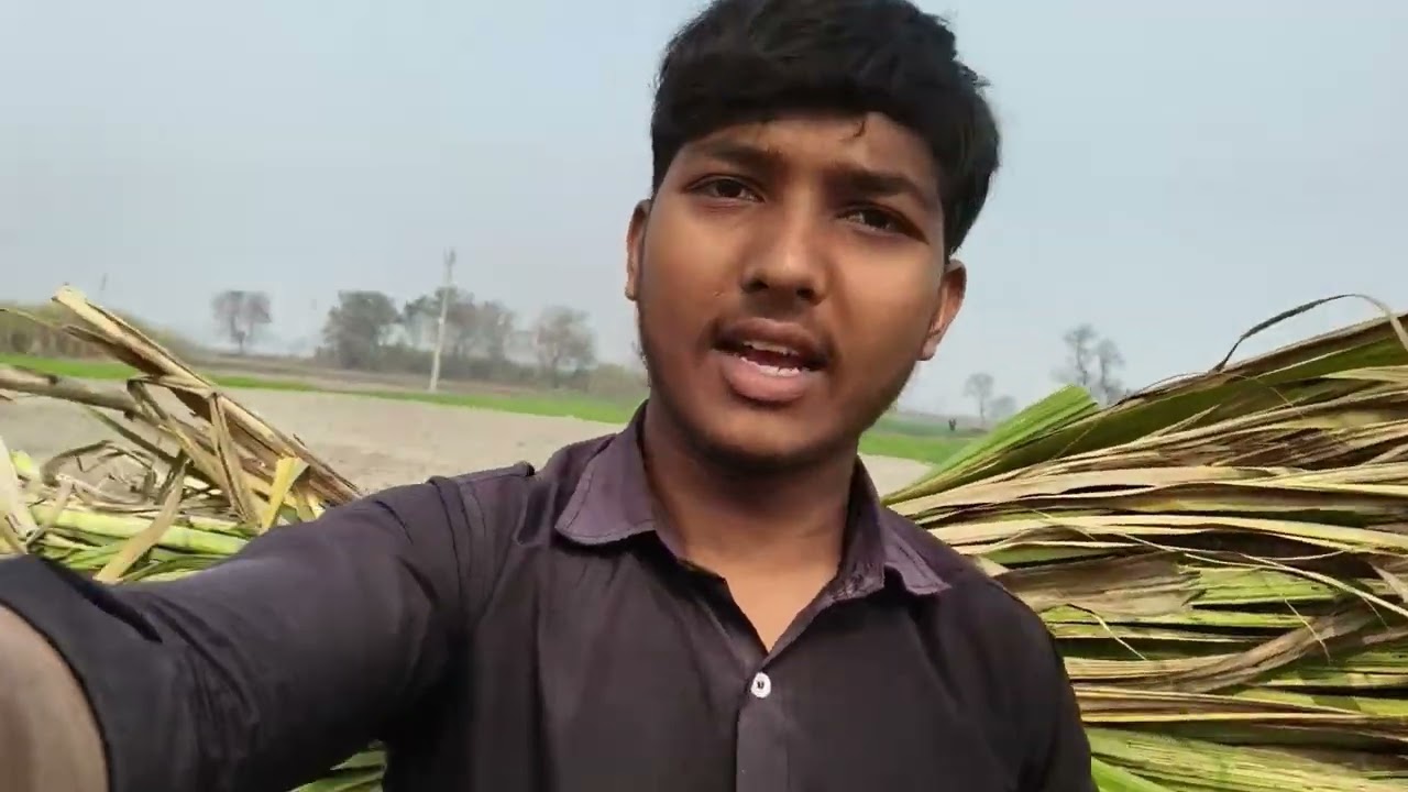 finally got my hair cut