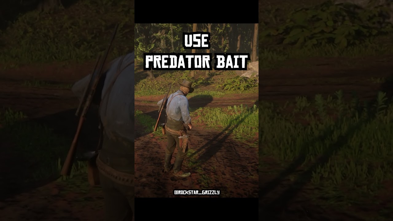 RDR 2 - Best Panther Hunting 