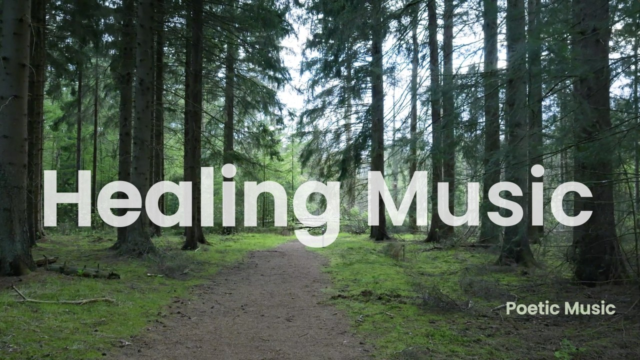 힐링음악 | 좋은 하루를 만들어주는 힐링 피아노(with 자연의 소리) 🎹 휴식음악 🎶 수면음악 | Healing Music