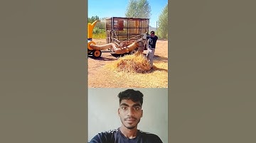 Hay crushing process- Good tools and machinery can increase work efficiency