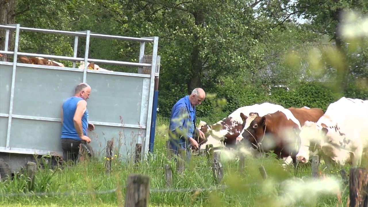 Boer Arend van Tongeren