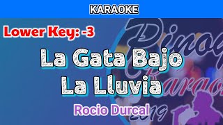 Miniatura de vídeo de "La Gata Bajo La Lluvia by Rocio Durcal (Karaoke : Lower Key : -3)"