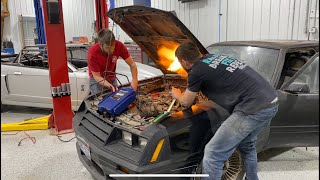 82 Mustang GT starts after 19 YEARS!